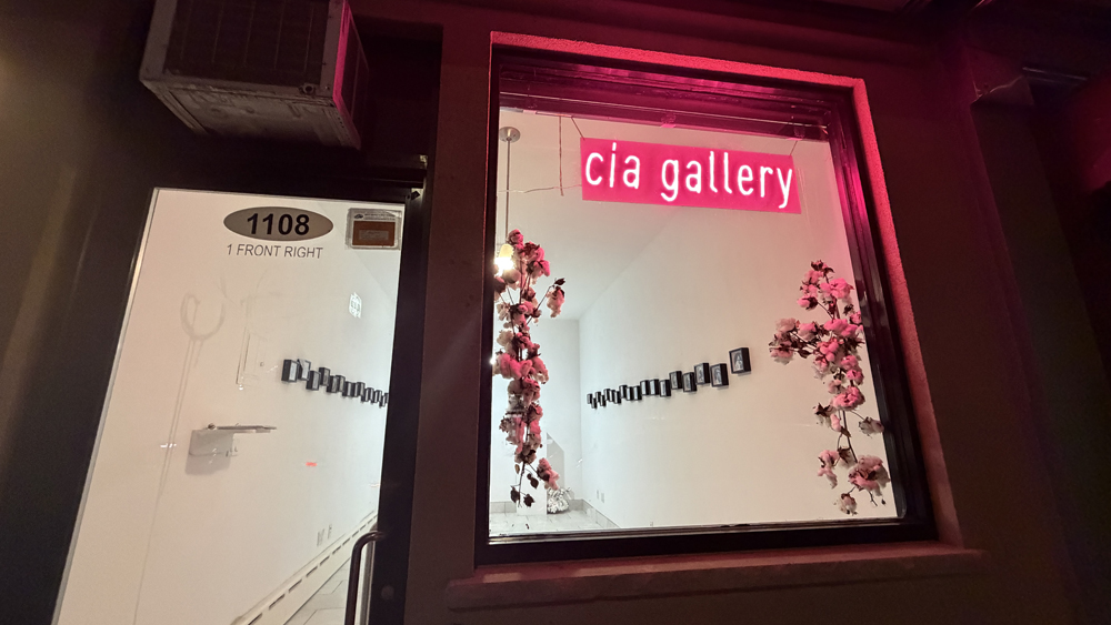 june's teeth solo show by theo mighty